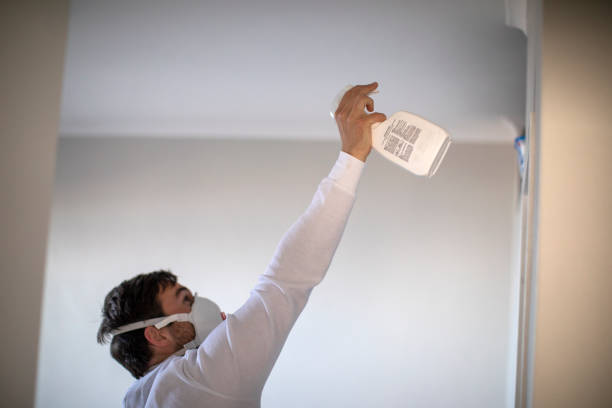 Best Mold Removal Near Me  in Caldwell, OH