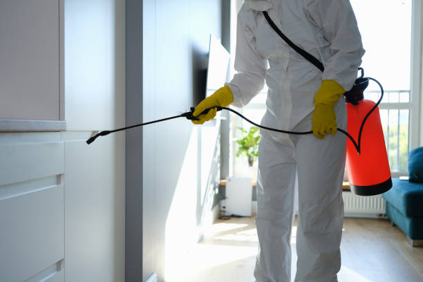 Best Water Damage Restoration  in Caldwell, OH