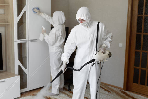 Best Commercial Mold Removal  in Caldwell, OH