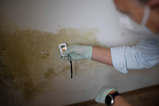 Best Mold Testing  in Caldwell, OH