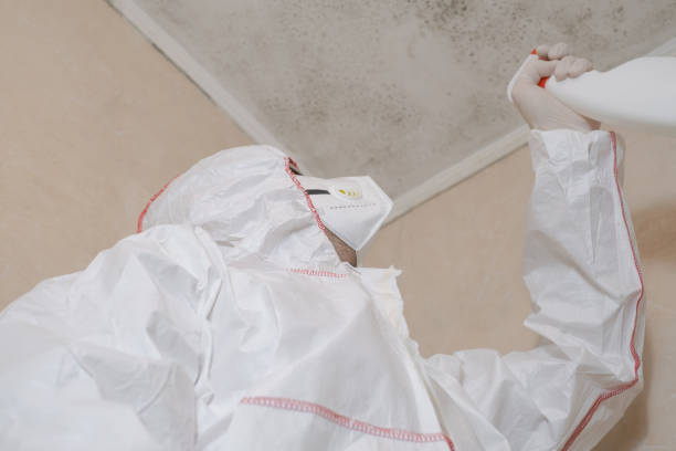Best Home Mold Removal  in Caldwell, OH